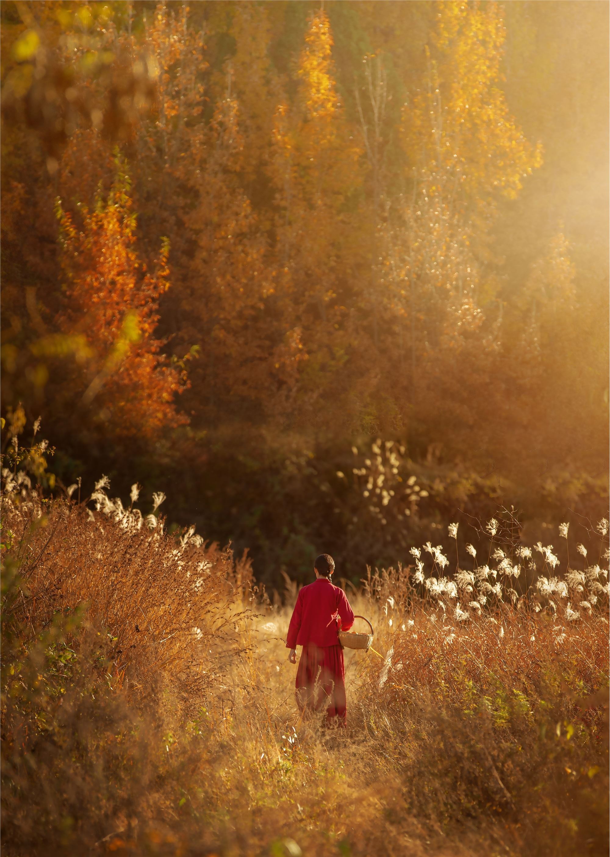 YITUYU 艺图语 2021.08.12 桐家沟的妹子 刘梦茹